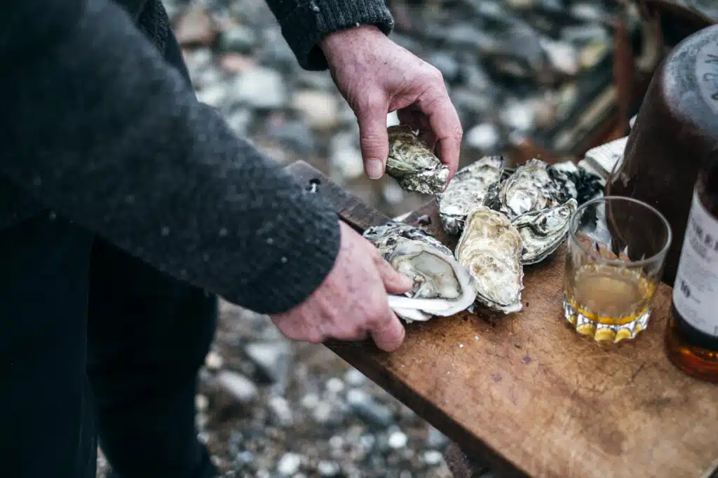 Scandinavian Detours Skaldyrssafari langs den svenske vestkyst